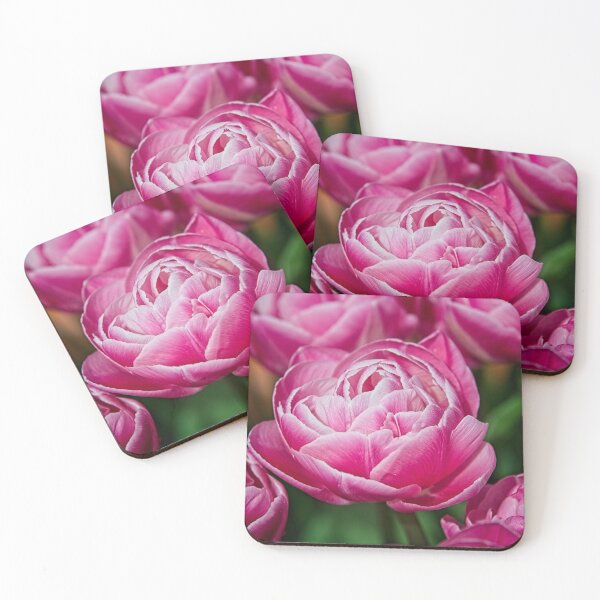 Item preview, Pink Peony Tulip Flower designed and sold by Martyn R Arnold Fine Art Nature & Landscape Photography.