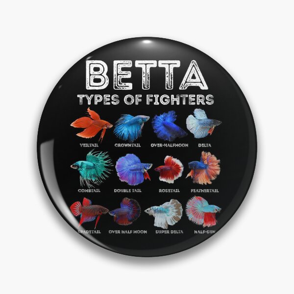 Item preview, Betta Fish Types Guide - Siamese Fighting Fish Varieties Infographic designed and sold by haitrieuic96.