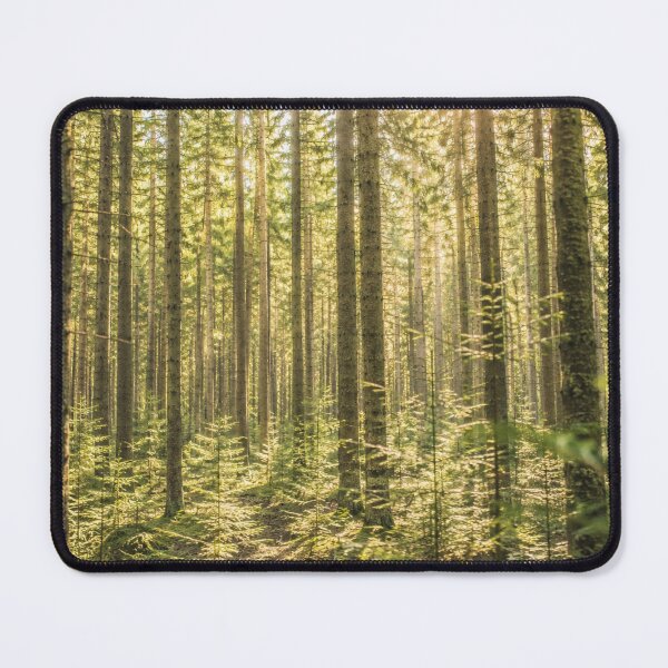 Item preview, Endless Sunlit Forest – A cinematic forest landscape with rays of light designed and sold by Gletschie.