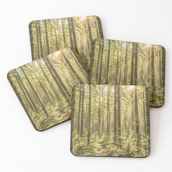 Item preview, Endless Sunlit Forest – A cinematic forest landscape with rays of light designed and sold by Gletschie.