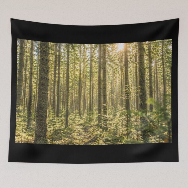 Item preview, Endless Sunlit Forest – A cinematic forest landscape with rays of light designed and sold by Gletschie.