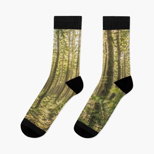 Item preview, Endless Sunlit Forest – A cinematic forest landscape with rays of light designed and sold by Gletschie.