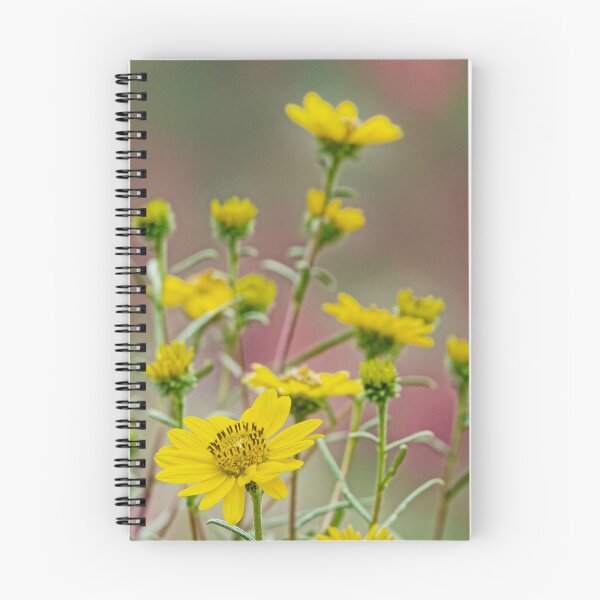 Aperçu de l'œuvre Fleurs Sauvages Jaunes des Andes en Gros Plan créée et vendue par Keltoi-art.