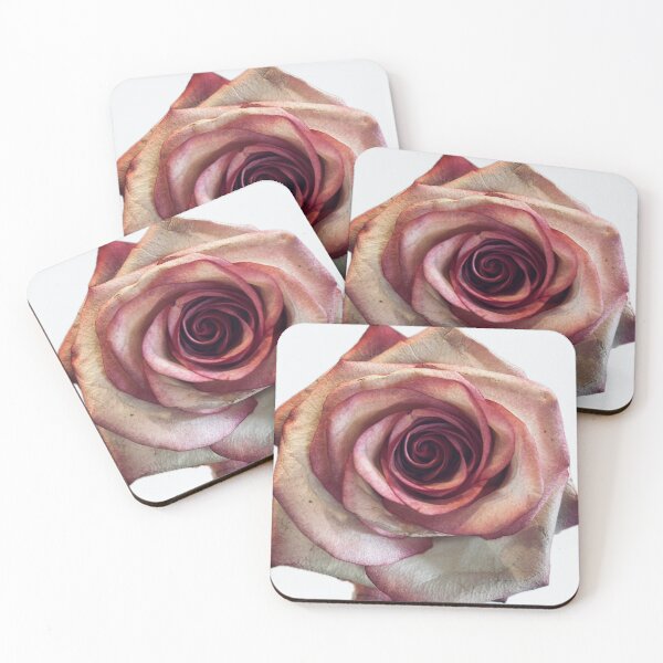 Item preview, Elegant Pink and White Rose Bloom Isolated on White Background designed and sold by BalkanBloom.