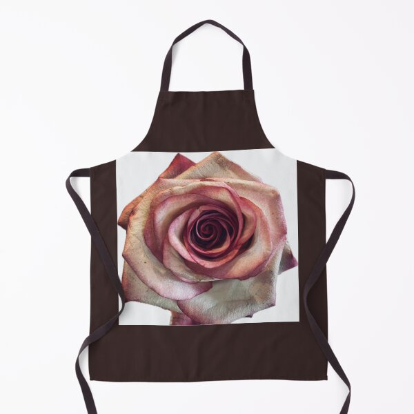 Item preview, Elegant Pink and White Rose Bloom Isolated on White Background designed and sold by BalkanBloom.