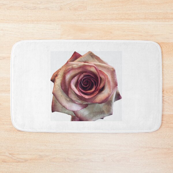 Item preview, Elegant Pink and White Rose Bloom Isolated on White Background designed and sold by BalkanBloom.