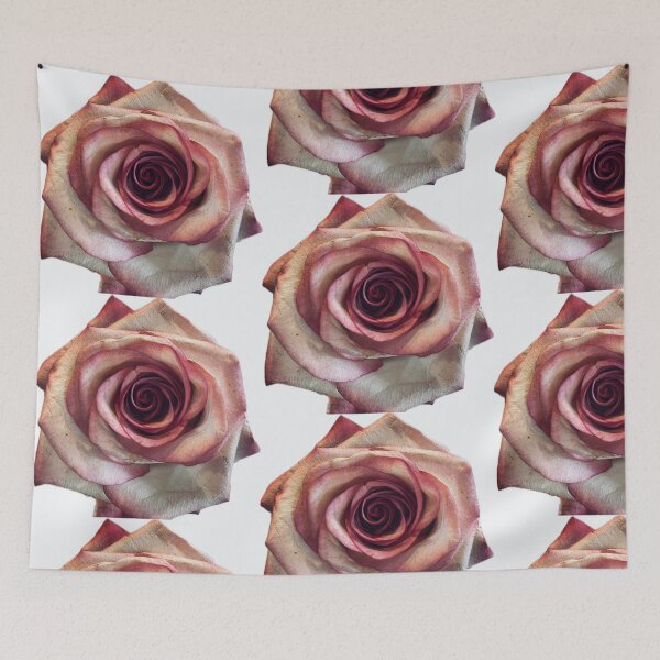 Item preview, Elegant Pink and White Rose Bloom Isolated on White Background designed and sold by BalkanBloom.