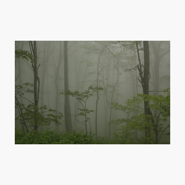"...Through the Veil of Mist." Photographic Print