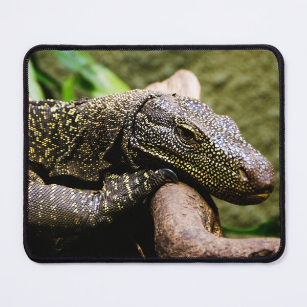 Item preview, Monitor Lizard Close-Up, Reptile Portrait designed and sold by CCWorkfloor.