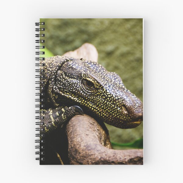 Artikelvorschau, Waran-Nahaufnahme, Reptilienporträt entworfen und verkauft von CCWorkfloor.