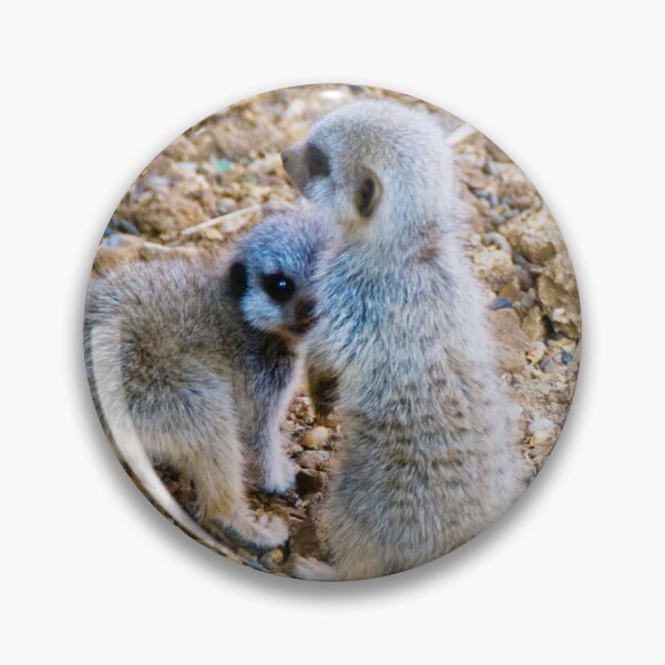 Item preview, Cheeky Meerkat Duo designed and sold by CCWorkfloor.