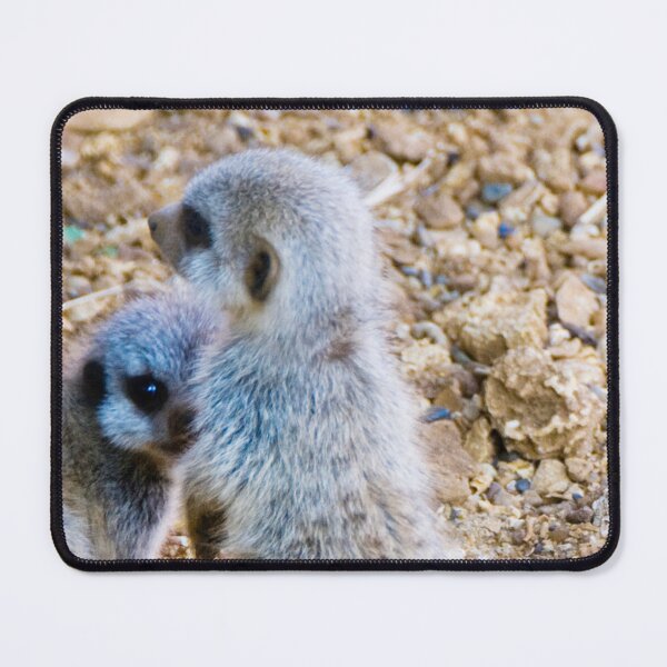 Item preview, Cheeky Meerkat Duo designed and sold by CCWorkfloor.