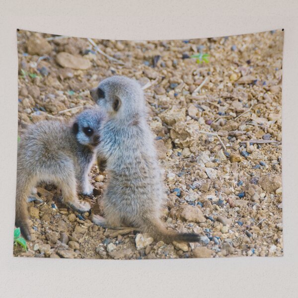 Item preview, Cheeky Meerkat Duo designed and sold by CCWorkfloor.