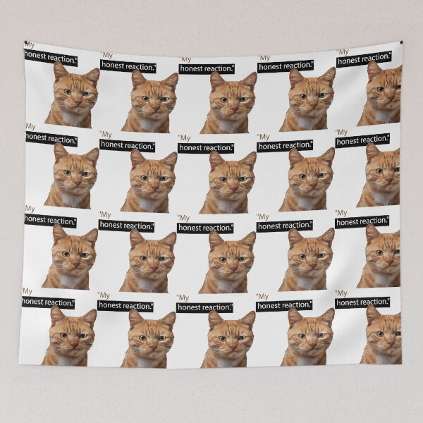 Item preview, My Honest Reaction - Funny Orange Cat Meme designed and sold by estfy.