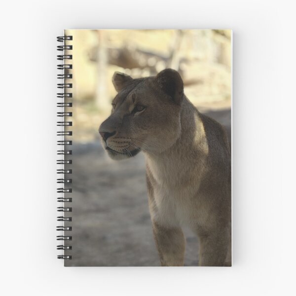 Item preview, Lioness portrait designed and sold by Boss&Xutz.