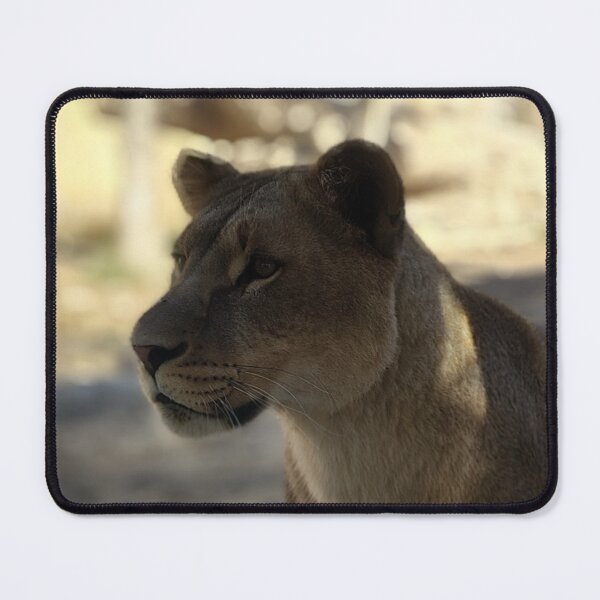 Item preview, Lioness portrait designed and sold by Boss&Xutz.