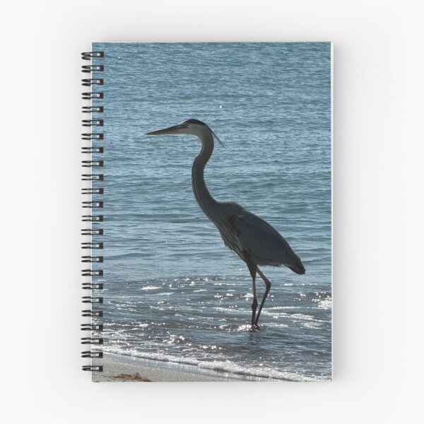 Item preview, Sanibel Shorebird designed and sold by c35wilson.