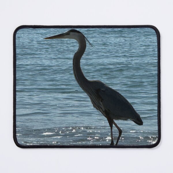 Item preview, Sanibel Shorebird designed and sold by c35wilson.