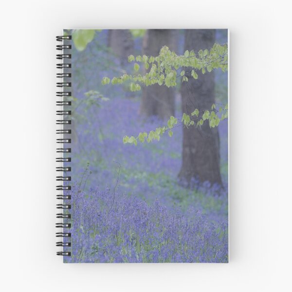 Item preview, English Bluebell Wildflower Woodland designed and sold by Martyn R Arnold Fine Art Nature & Landscape Photography.