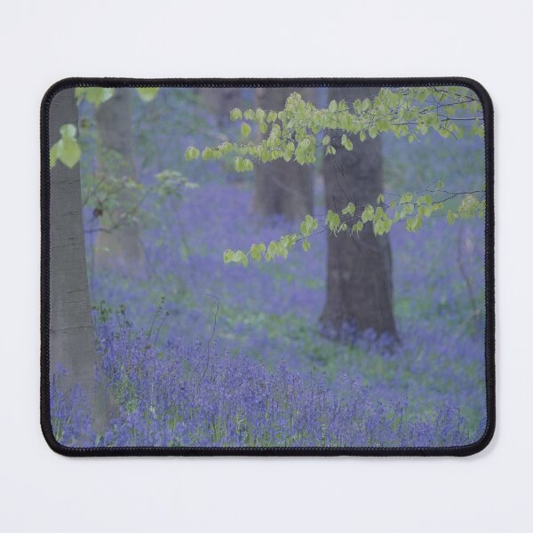 Item preview, English Bluebell Wildflower Woodland designed and sold by Martyn R Arnold Fine Art Nature & Landscape Photography.