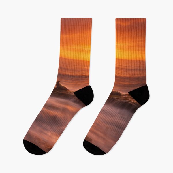 Item preview, Golden Hour Sea Lions designed and sold by Kimberly Palmer.