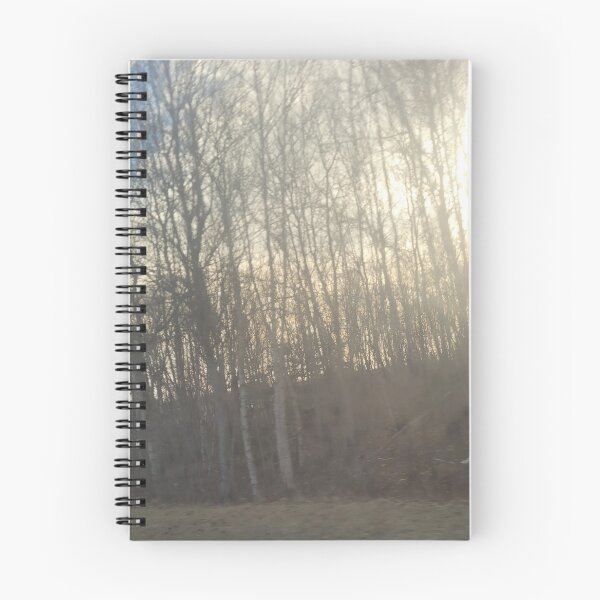 Item preview, Gorgeous Picture Of Forest designed and sold by Rainbowland123.