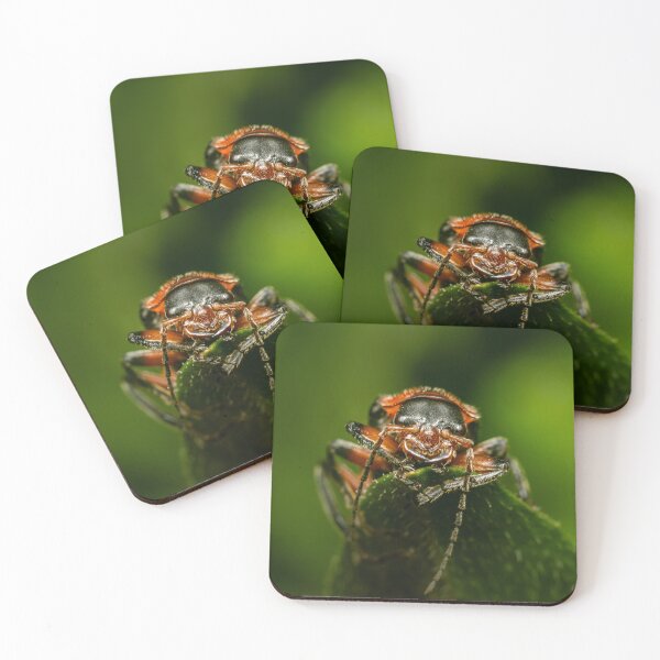 Item preview, Ready for Ambush — Soldier Beetle in Extreme Close-Up designed and sold by Rabee Khalil Photography.