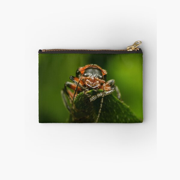 Item preview, Ready for Ambush — Soldier Beetle in Extreme Close-Up designed and sold by Rabee Khalil Photography.