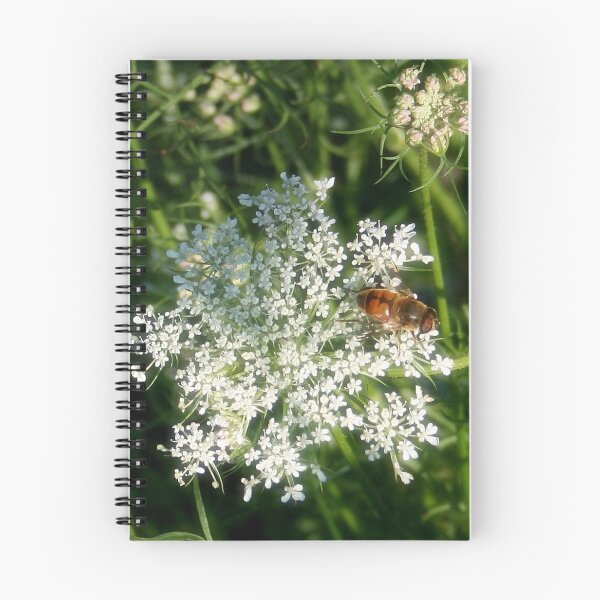 Item preview, Visiting a Wild Carrot designed and sold by Claude Johnson.