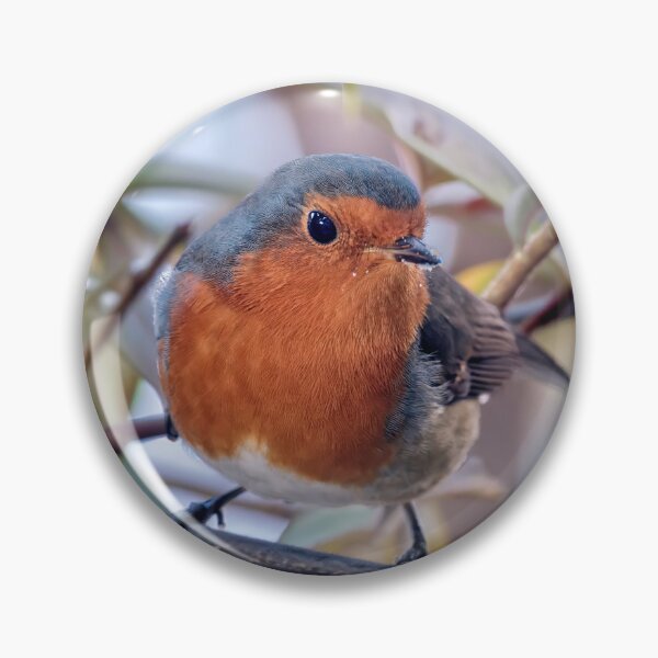Item preview, Robin designed and sold by Tom McPherson Photography.