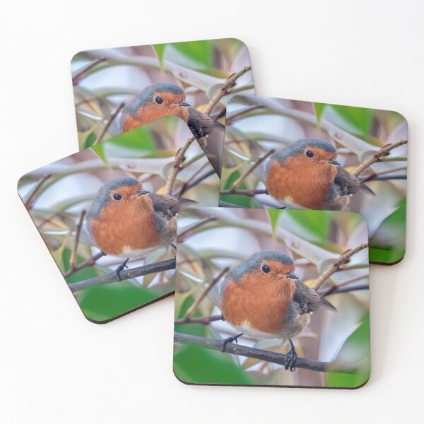 Item preview, Robin designed and sold by Tom McPherson Photography.