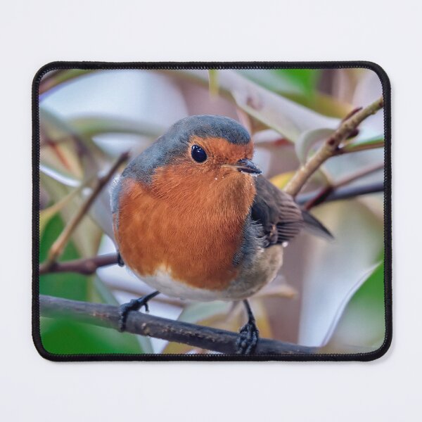 Item preview, Robin designed and sold by Tom McPherson Photography.