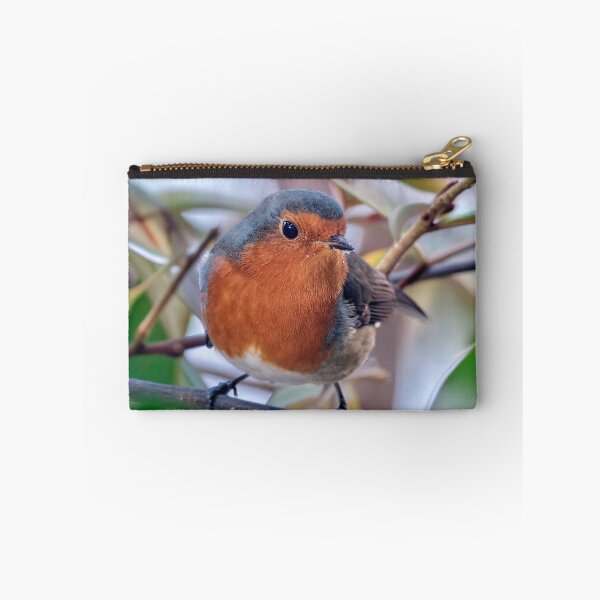Item preview, Robin designed and sold by Tom McPherson Photography.
