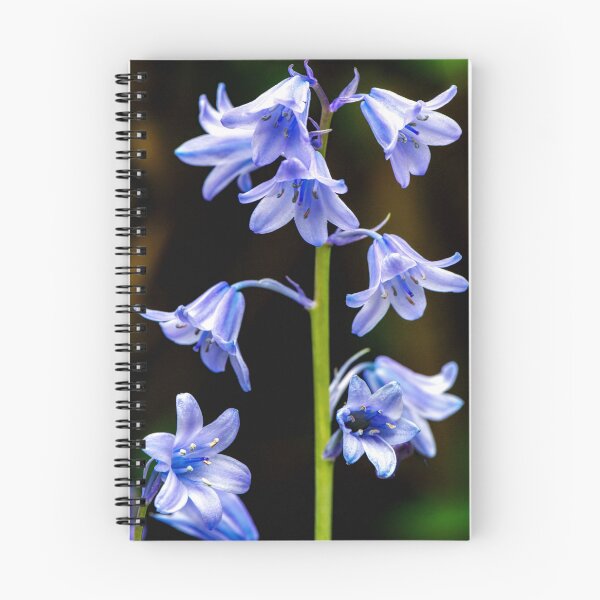 Item preview, Bluebell designed and sold by Tom McPherson Photography.