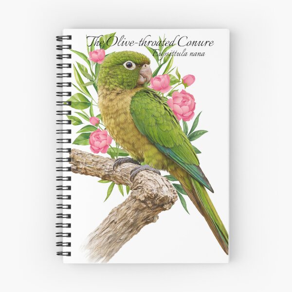 Item preview, The Olive-throated Conure Scientific illustration Design designed and sold by AvianDesign.