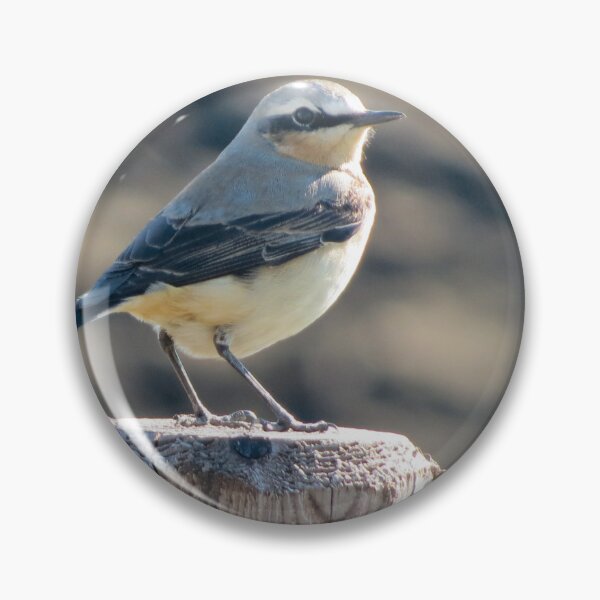 Item preview, Spring Wheatear designed and sold by Surreybirder.