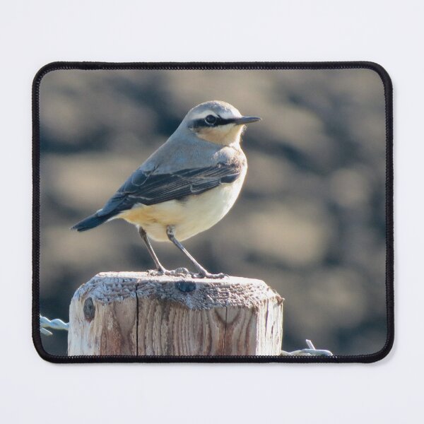 Item preview, Spring Wheatear designed and sold by Surreybirder.