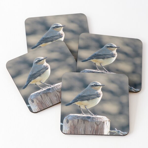 Item preview, Spring Wheatear designed and sold by Surreybirder.