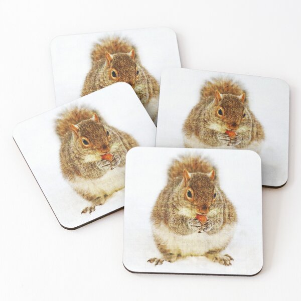 Item preview, Squirrel with an Acorn designed and sold by Frankie Cat Photography.