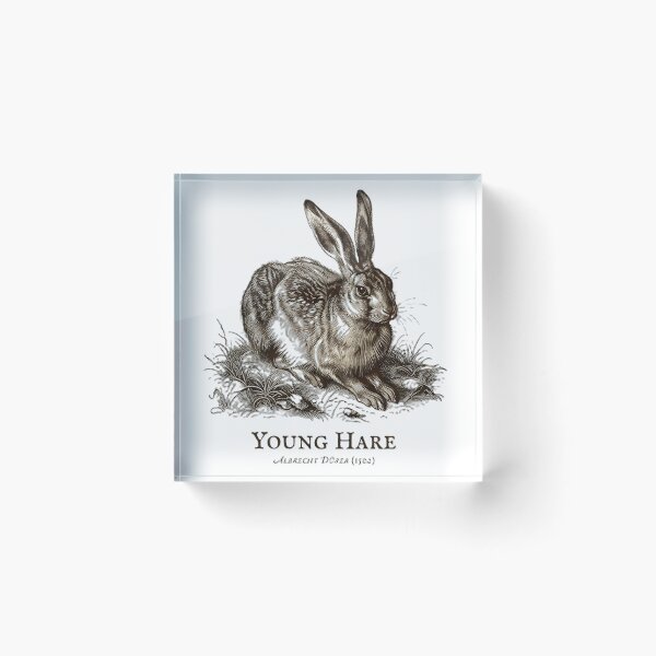 Item preview, Albrecht Dürer: The Young Hare (1502) designed and sold by GreatPeopleMind.