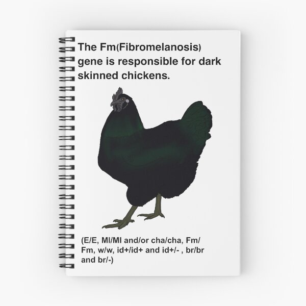 Item preview, Fibro designed and sold by CelGrave.
