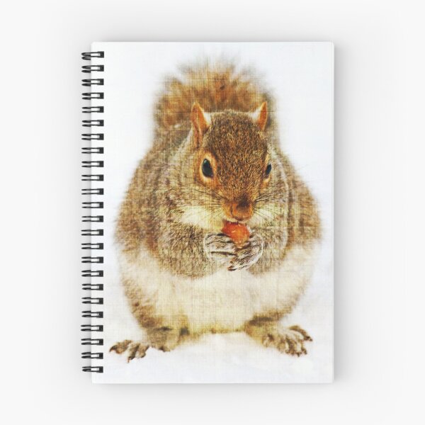 Item preview, Squirrel with an Acorn designed and sold by Frankie Cat Photography.