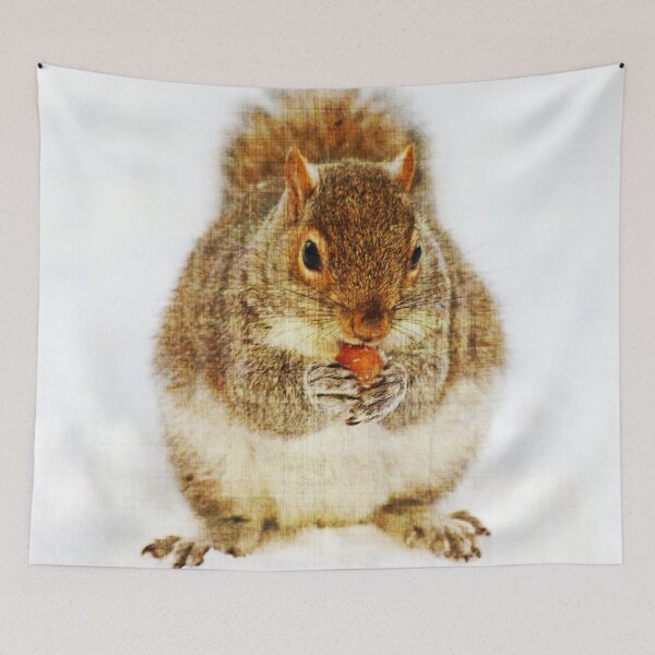 Item preview, Squirrel with an Acorn designed and sold by Frankie Cat Photography.