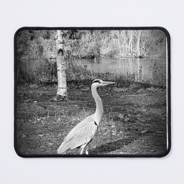 Item preview, The Bird designed and sold by HirbodPhoto.