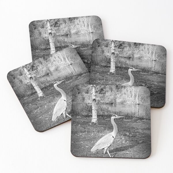 Item preview, The Bird designed and sold by HirbodPhoto.