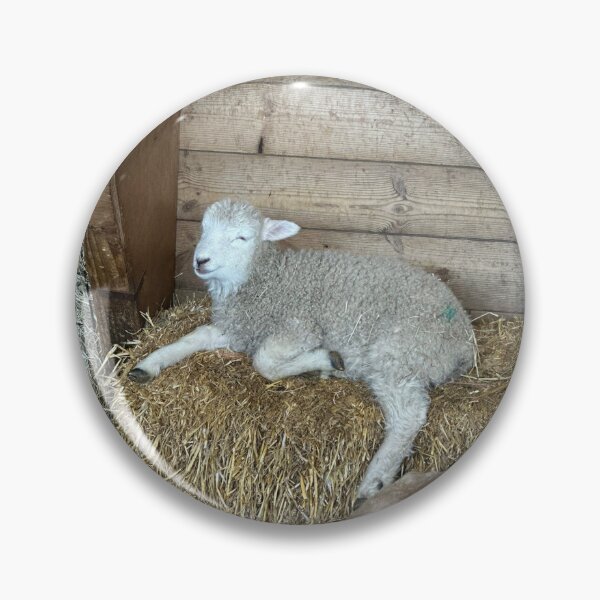 Item preview, Relaxing sheep designed and sold by Let-me-show-you-something.