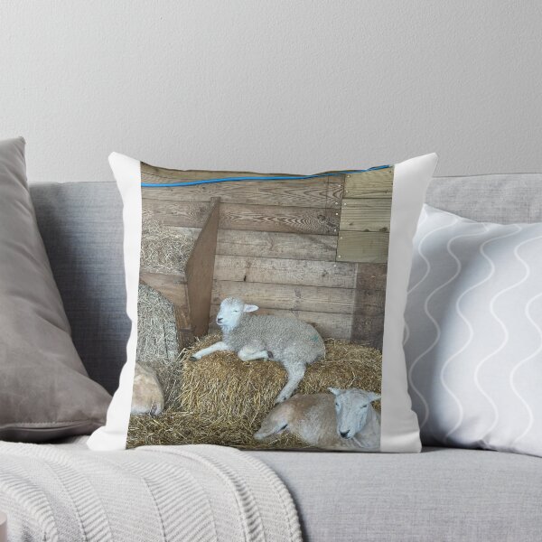 Item preview, Relaxing sheep designed and sold by Let-me-show-you-something.