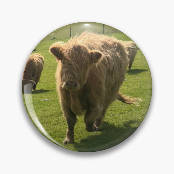 Item preview, Highland cow designed and sold by Let-me-show-you-something.