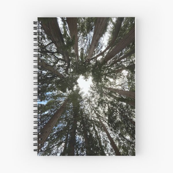 Item preview, Heart of the Redwoods designed and sold by TheMountainLion.