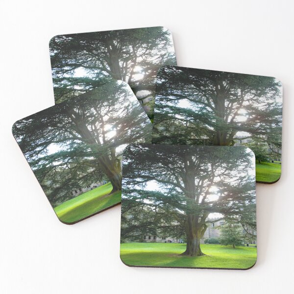 Item preview, Ancient Cedar Tree: Historic Grounds Portrait designed and sold by CCWorkfloor.